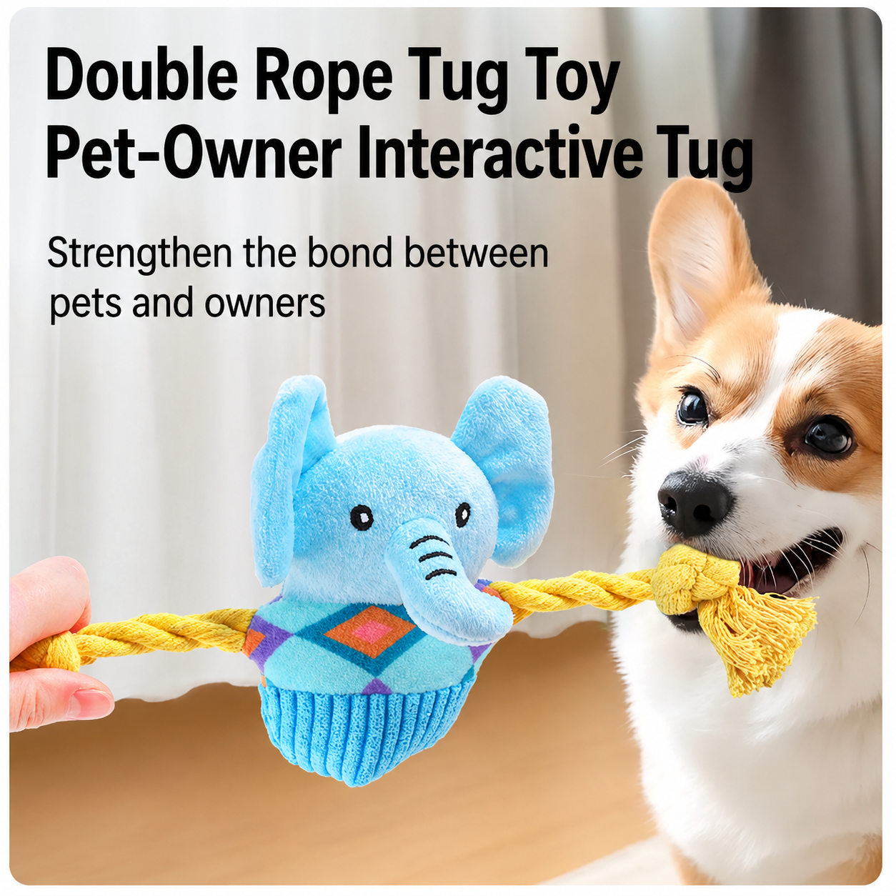 Knotted Squeaky Plush Toy Collection