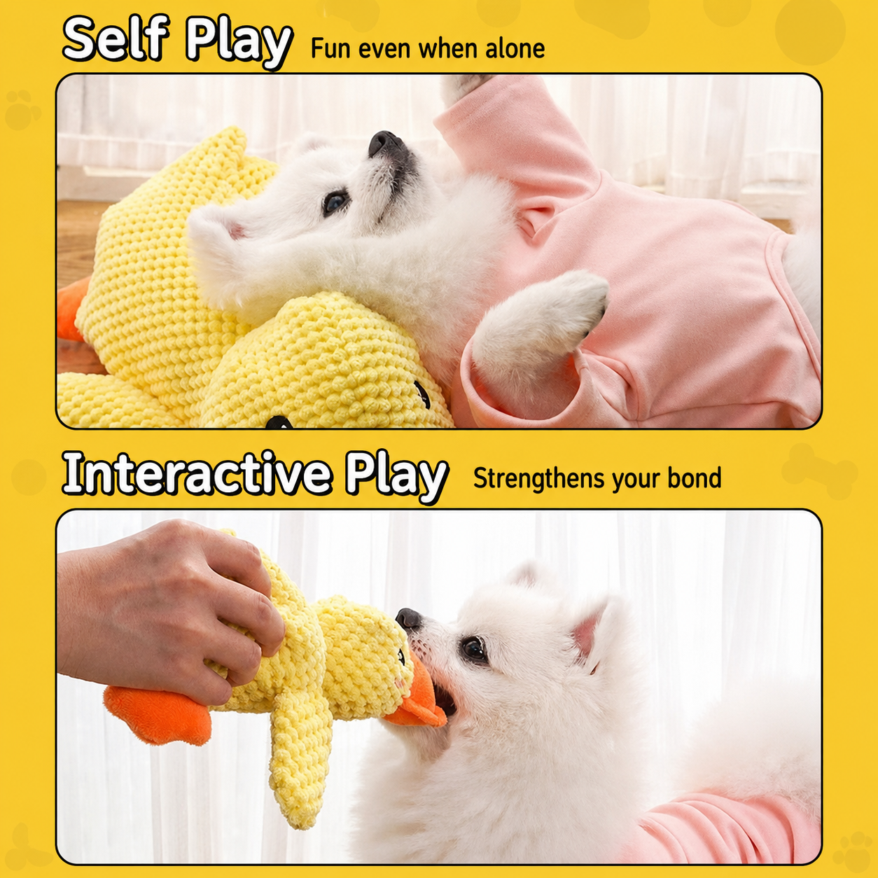 Squeaky Duck