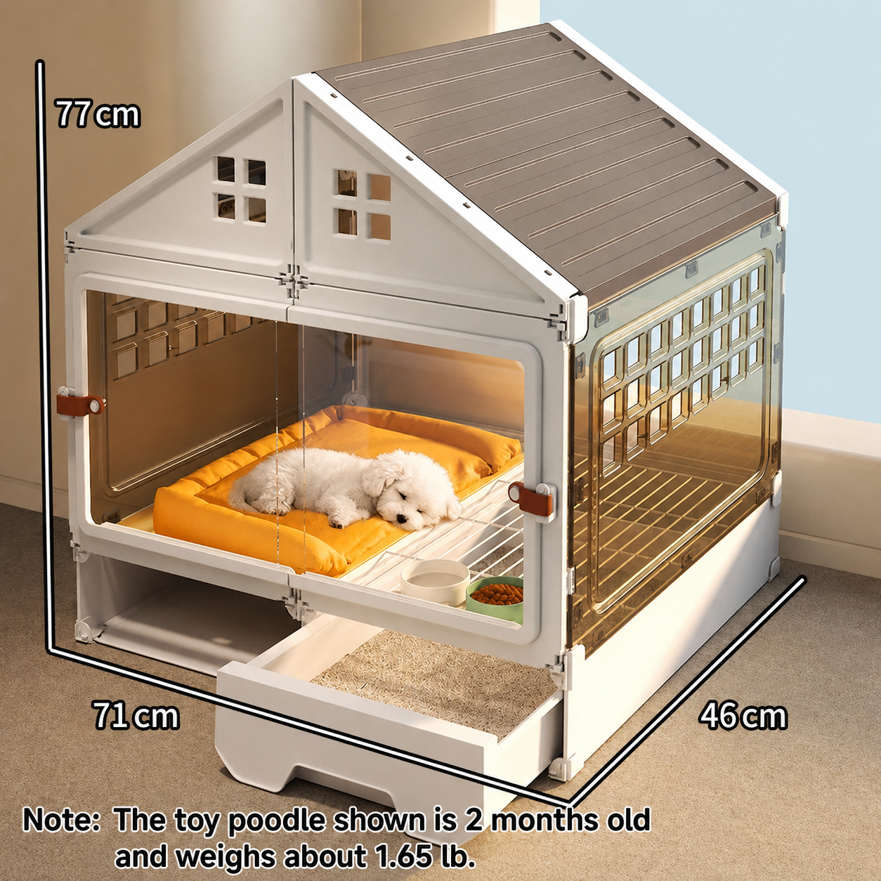 Transparent Pet Villa