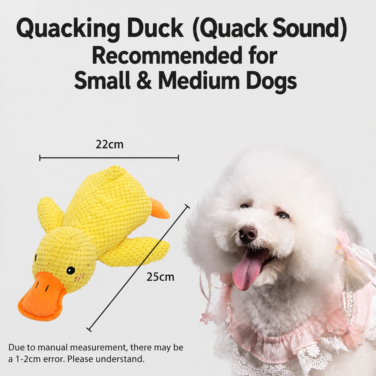 Squeaky Duck