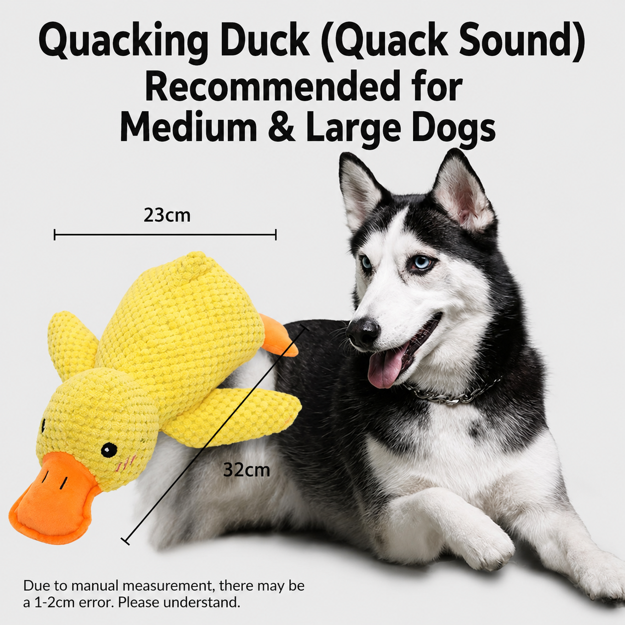 Squeaky Duck