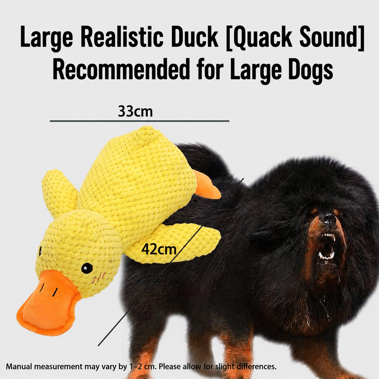 Squeaky Duck