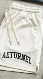 Aeturnel Luxury Mesh Collegiate Shorts