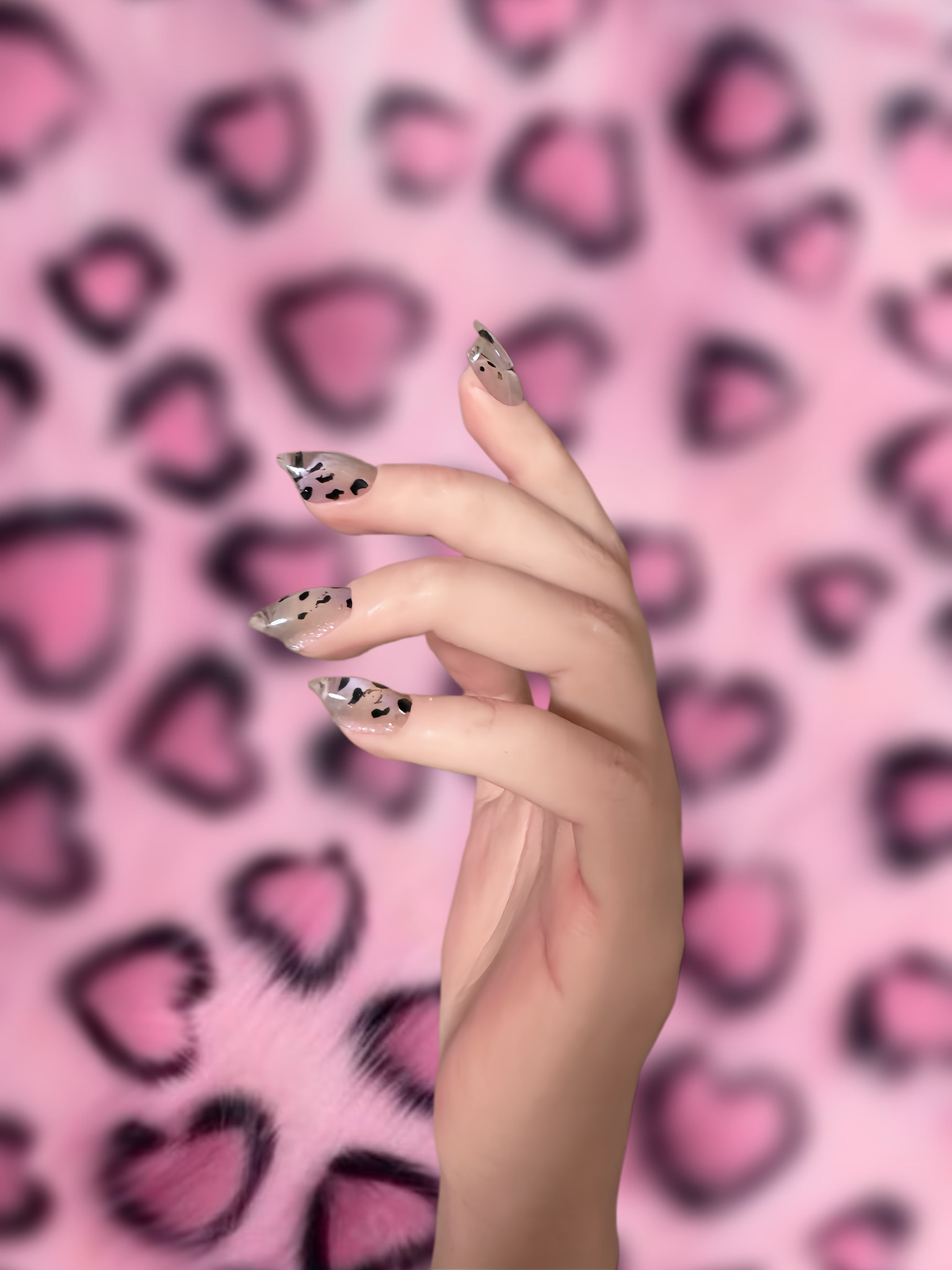 Milky Leopard Short Claws