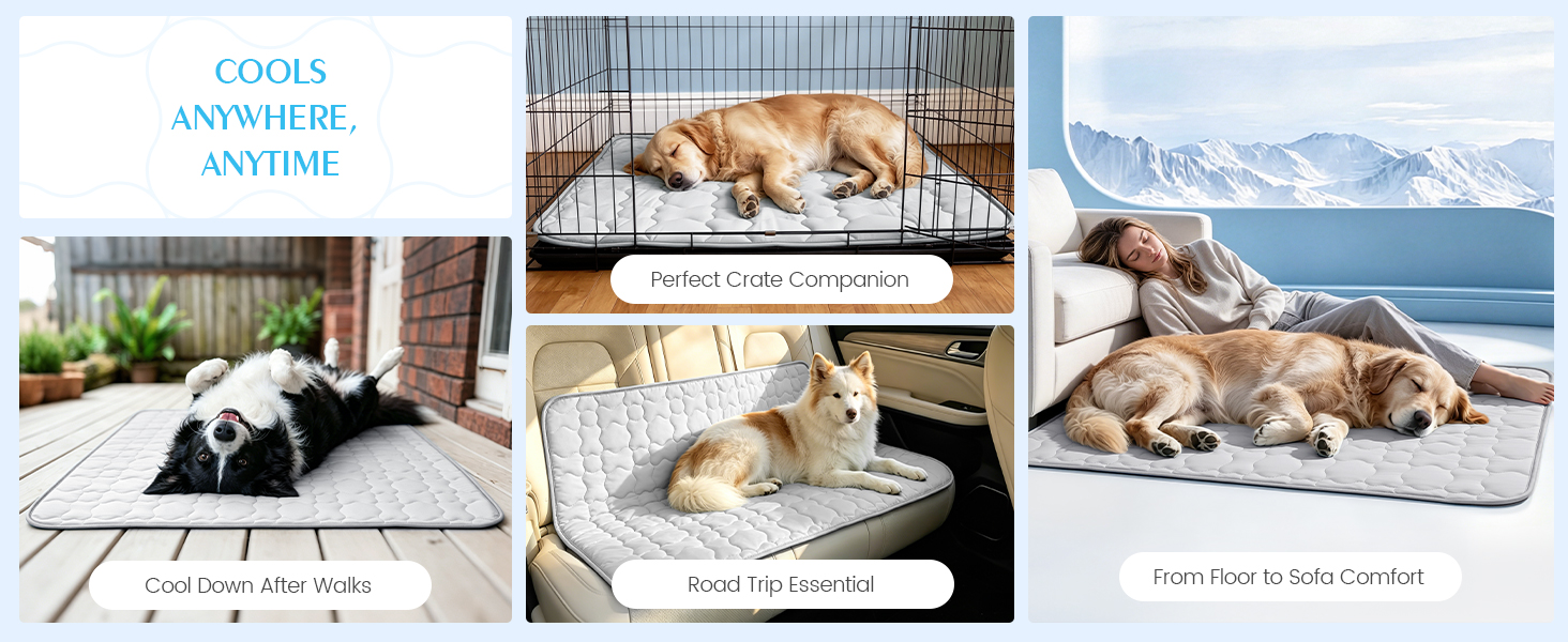 Indoor – Bedrooms, living rooms, crates. Travel – Car seats, road trips