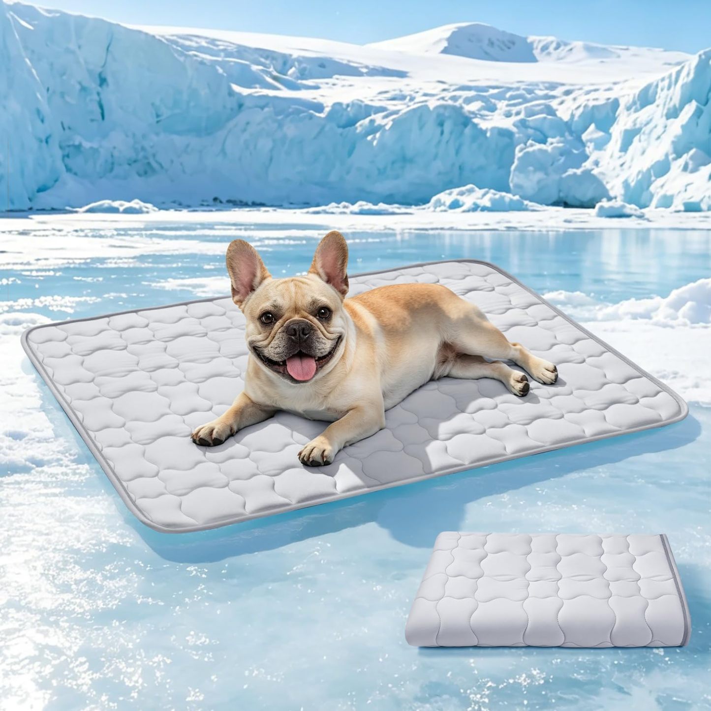 Pet cooling mat