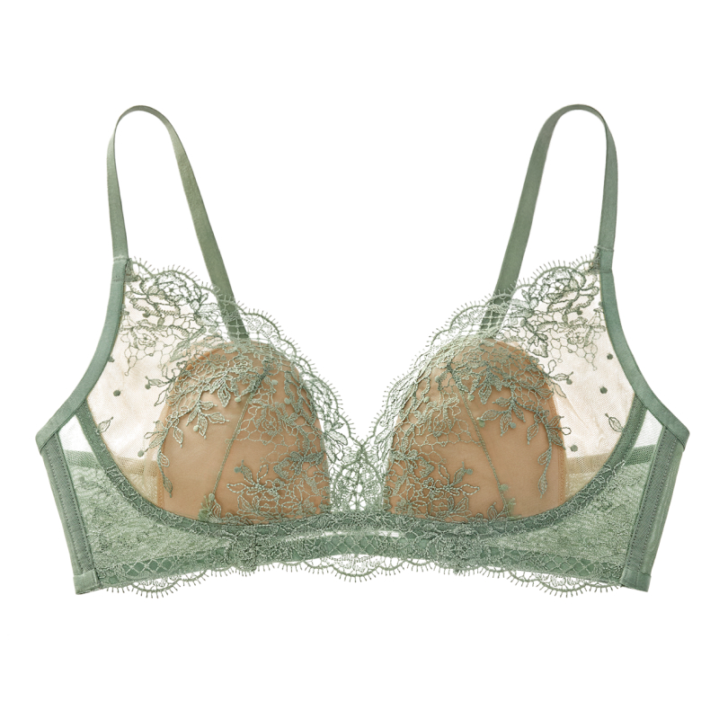 Embroidered Lace Lingeries