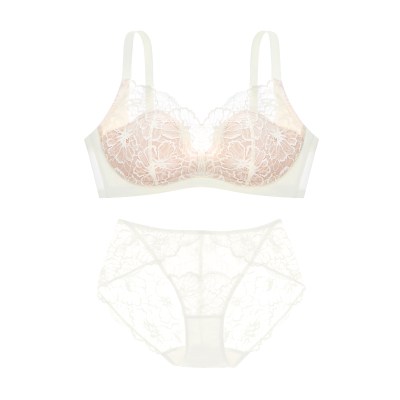 Plus Size Full Coverage Minimizer Lace Bra Sets