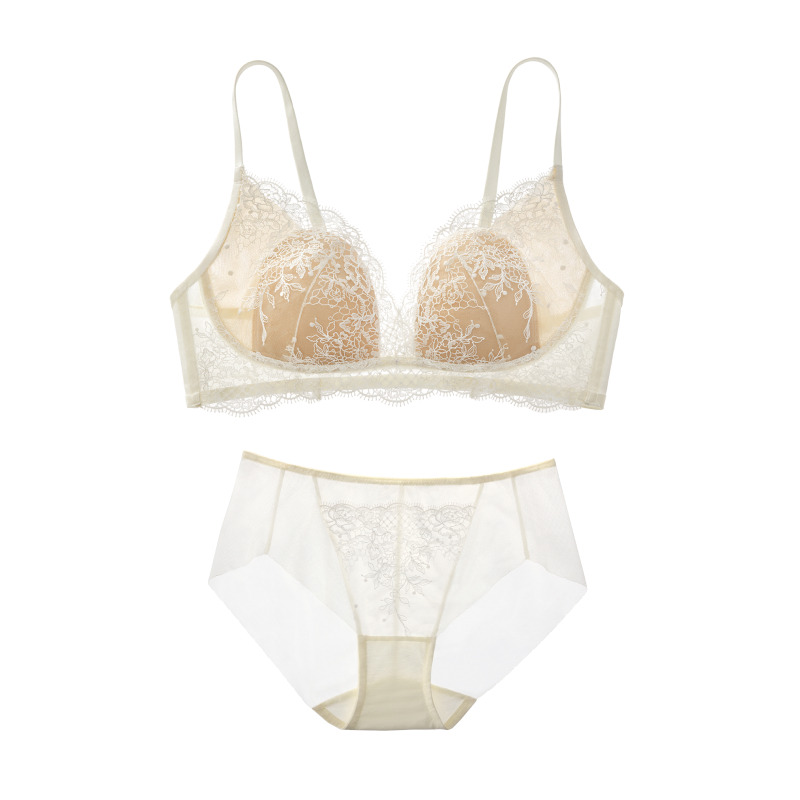 Sexy Embroidered Bra Sets