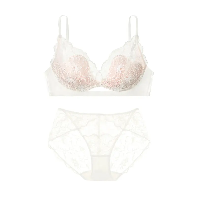Lace Small Chest Bra Set