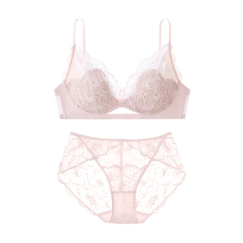 Lace Small Chest Bra Set