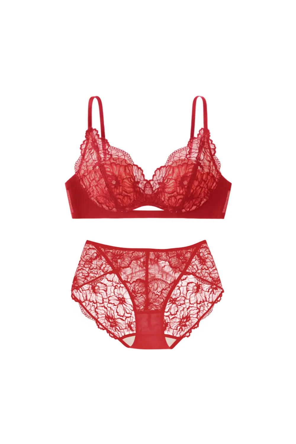 Lace Small Chest Bra Set