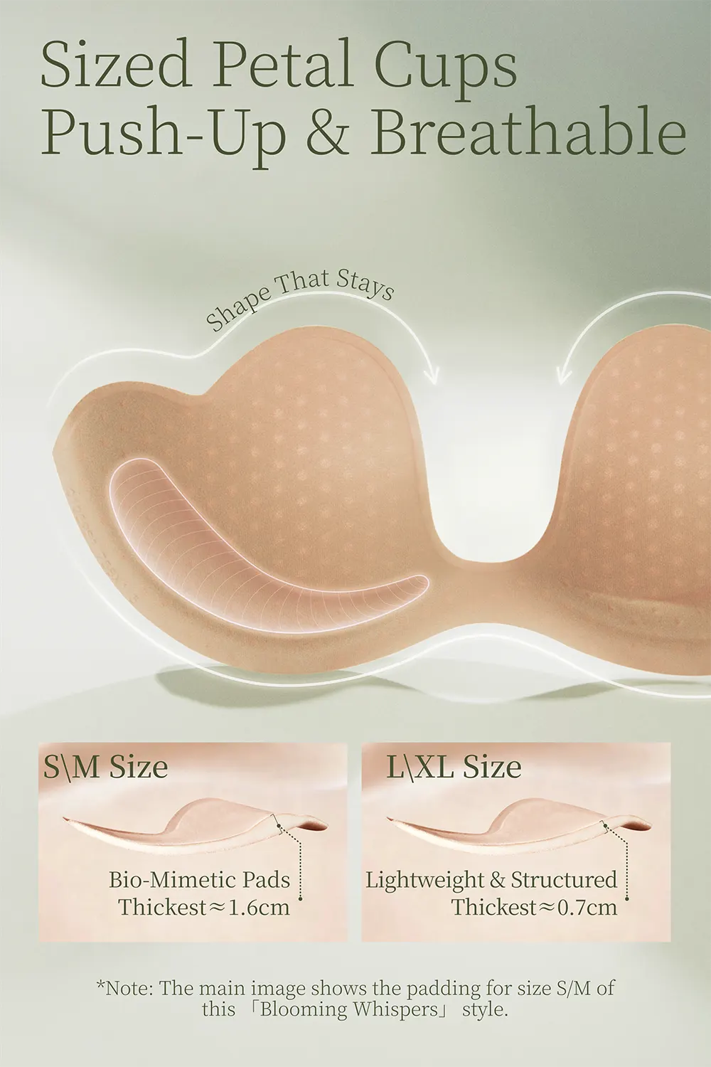 Lace Bra and Underwear Sets