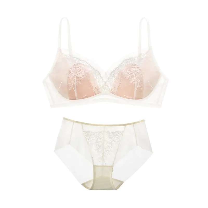 Embroidered Lace Plus Size Lingerie Set