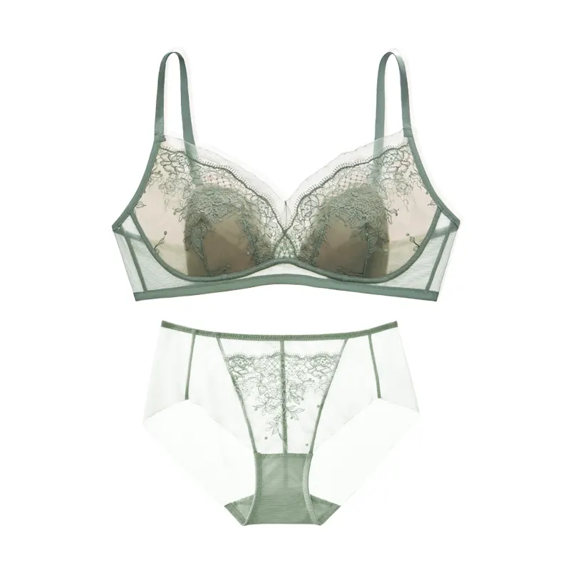 Embroidered Lace Plus Size Lingerie Set