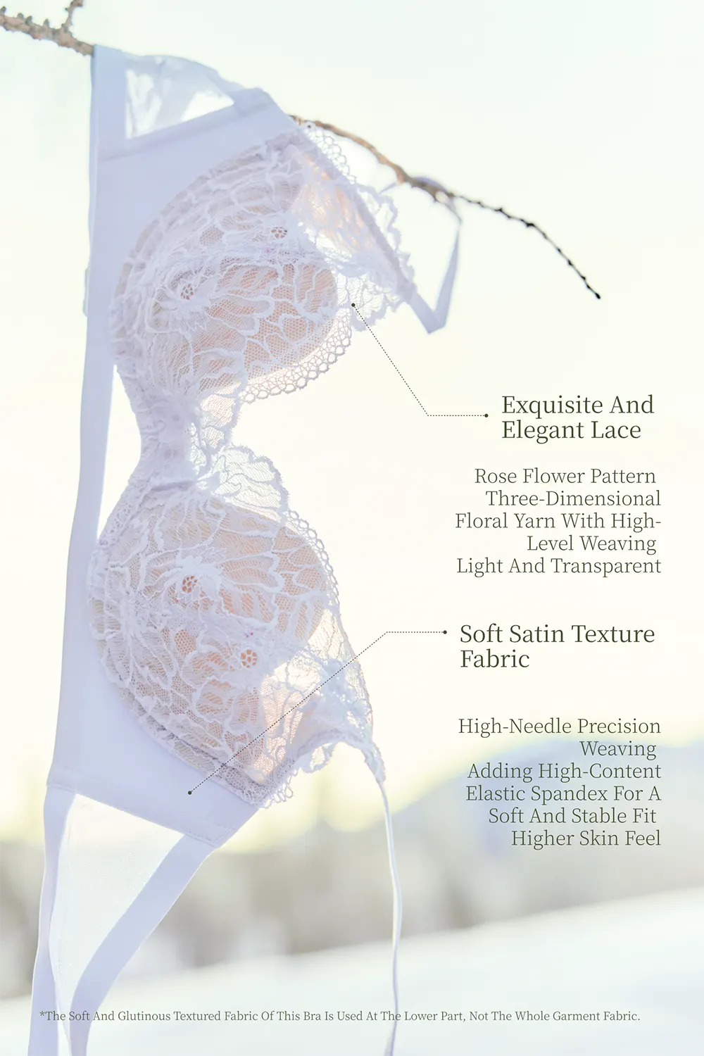Lace Small Chest Bra Set