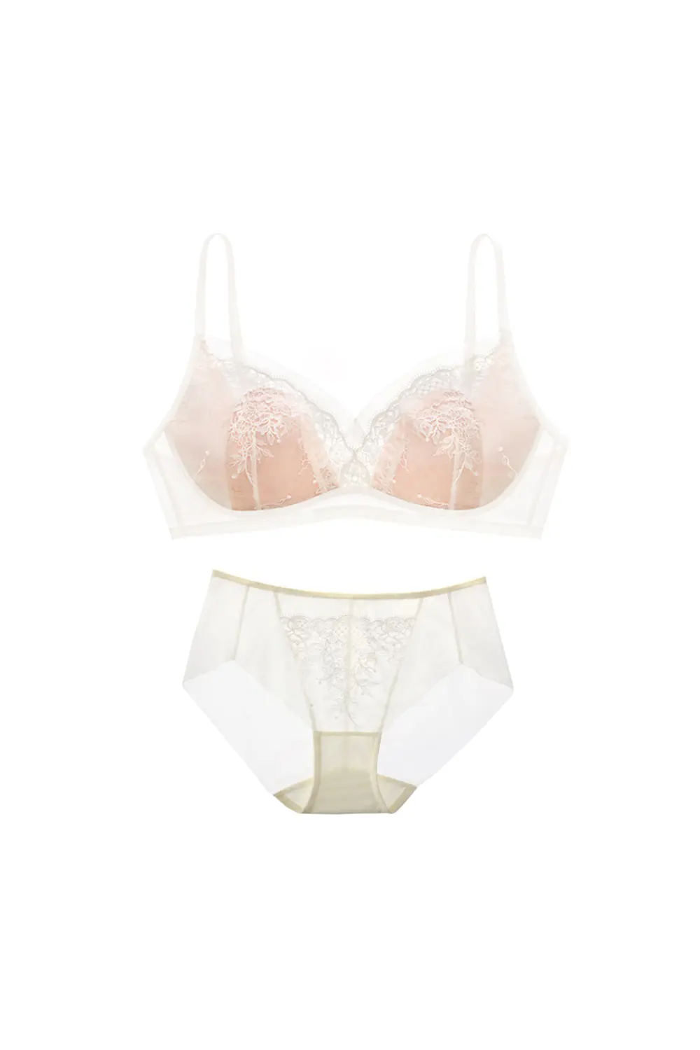 Embroidered Lace Plus Size Lingerie Set
