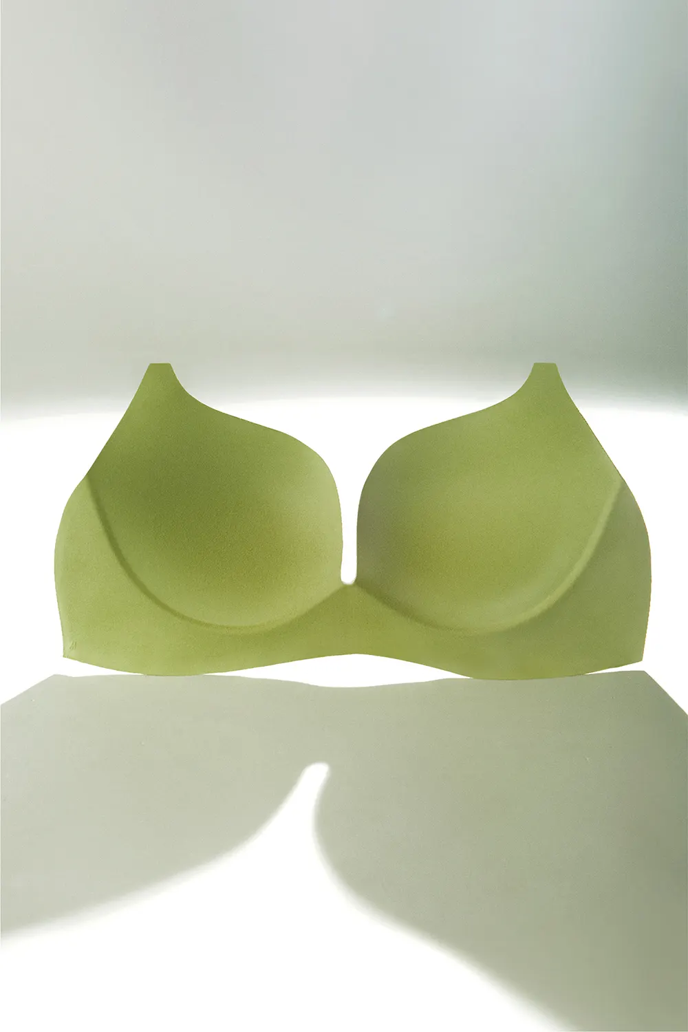 Wireless Push Up Plunge Small Chest Lace Bra