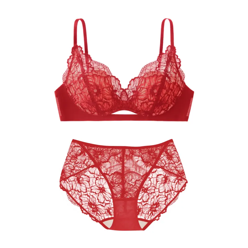 Lace Small Chest Bra Set