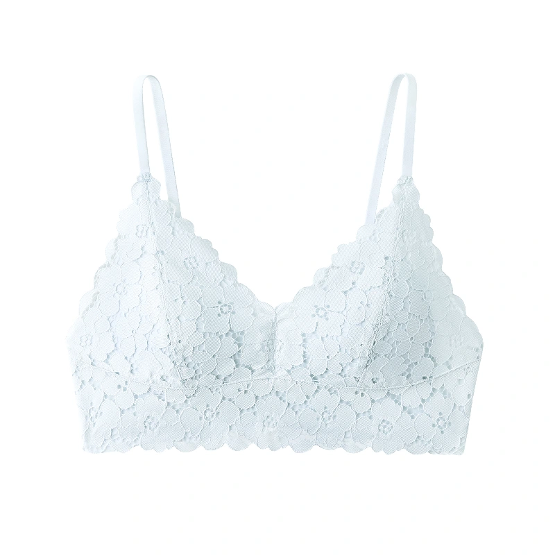 Lace Triangle Cup Small Breasts Bras