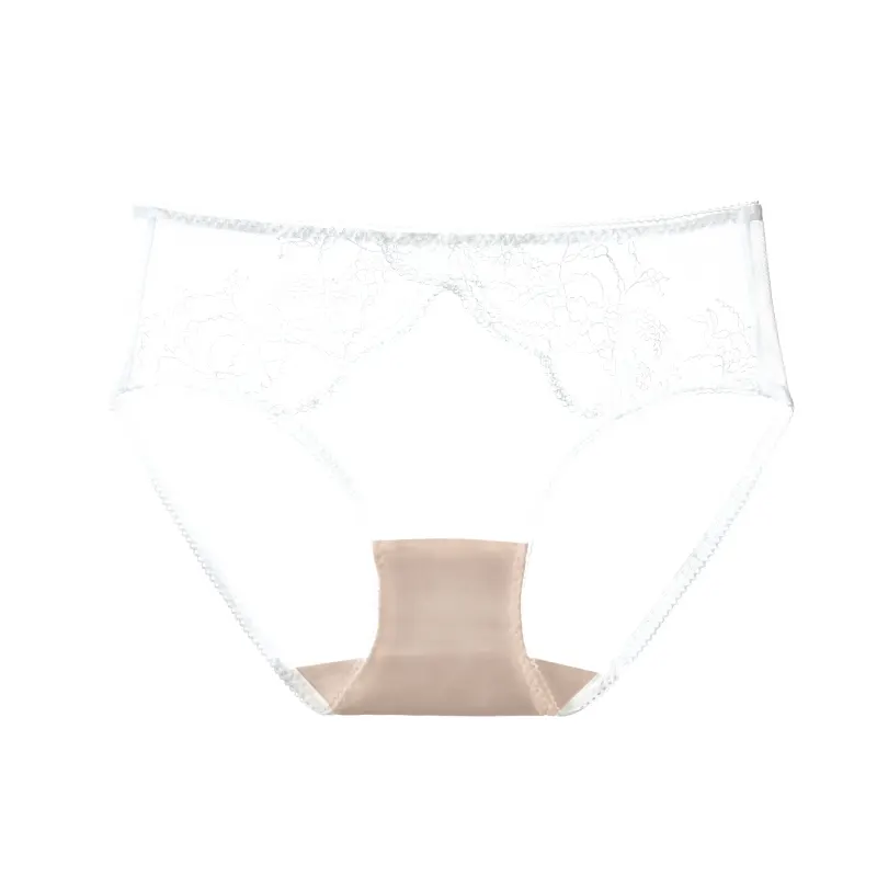 Sexy Lace Low Rise Sheer Mesh Bikini Panties