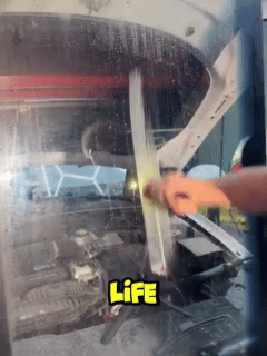 10.gif