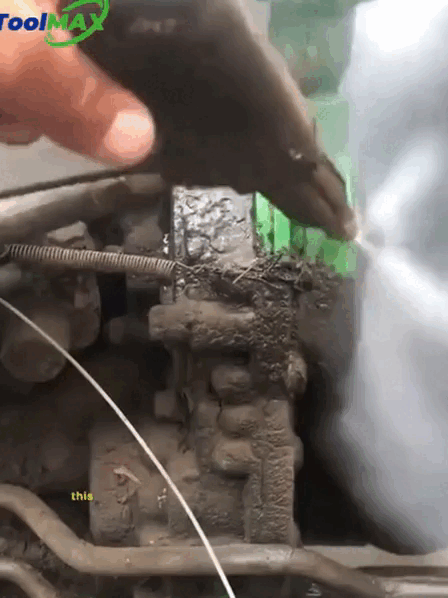 10.gif