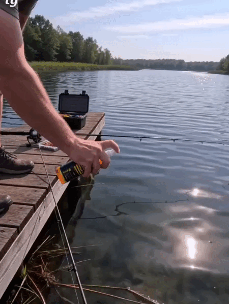 11.gif