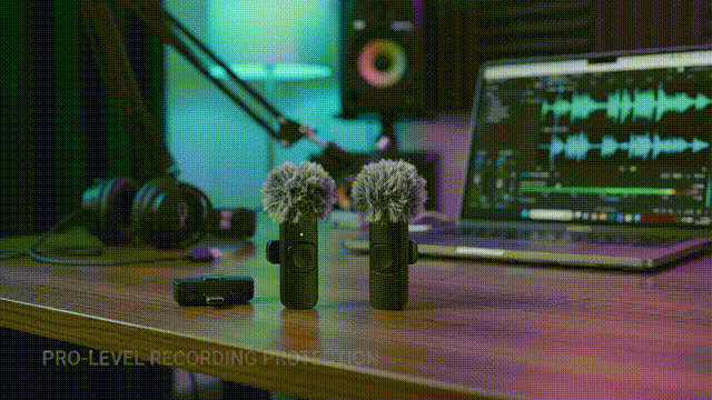 11.gif