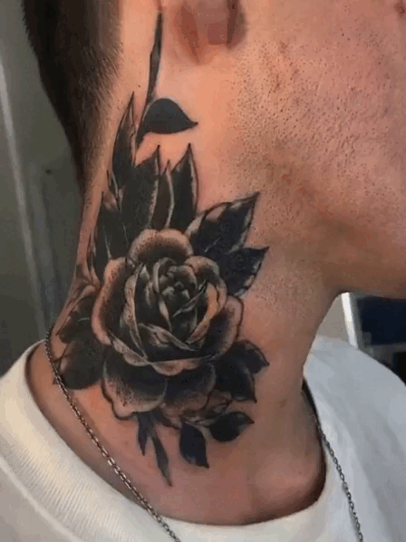 12.gif