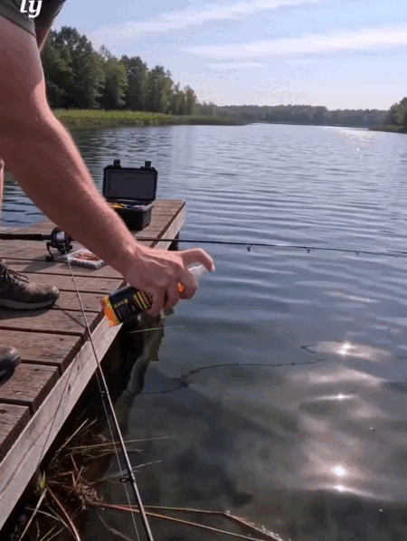 12.gif