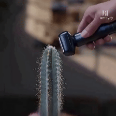 13.gif