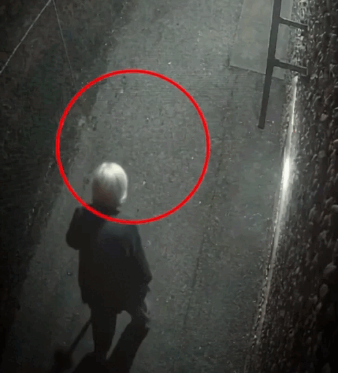 5.gif
