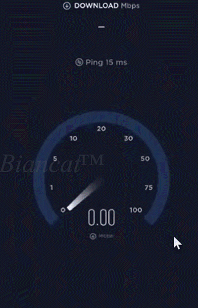 14.gif