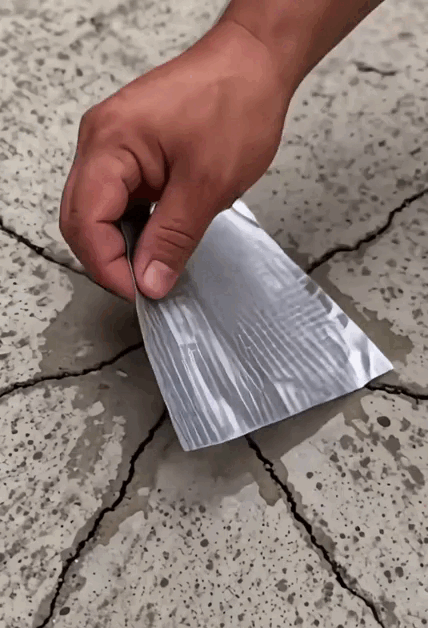 14.gif