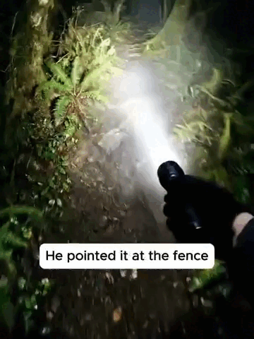 14.gif