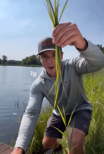 15.gif