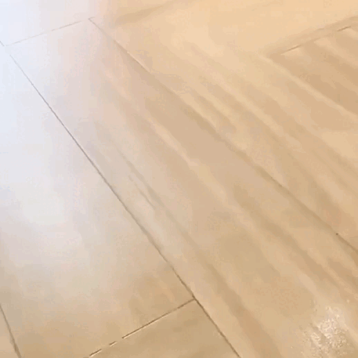 16.gif