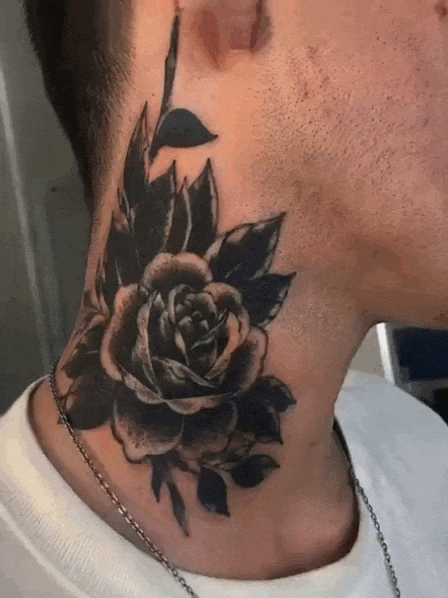 17.gif