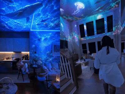 3.webp