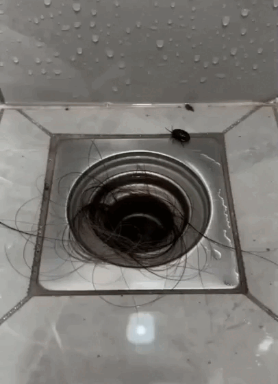 4.gif