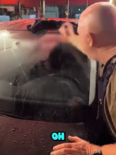 5.gif