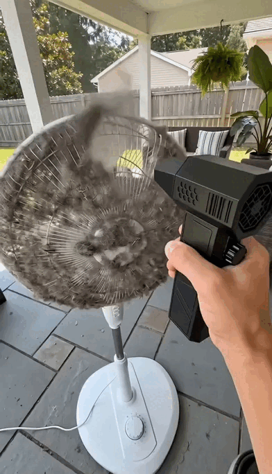 5.gif
