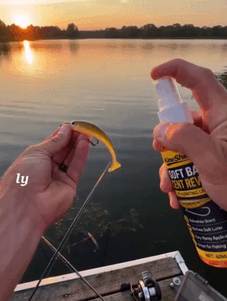 5.gif