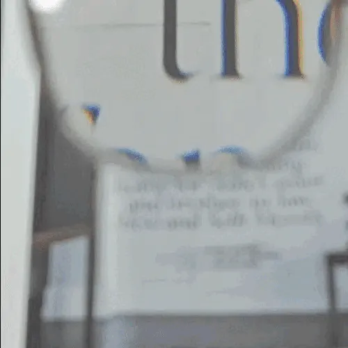 5.webp