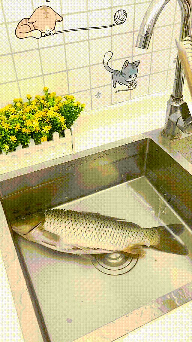 5.gif