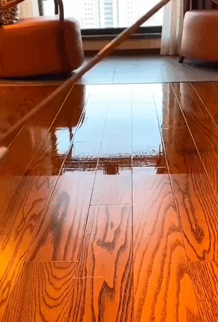 6.gif