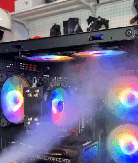 6.gif