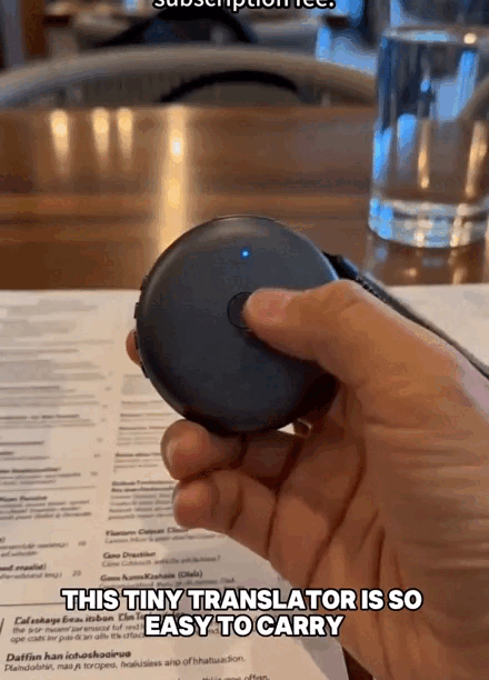 6.gif