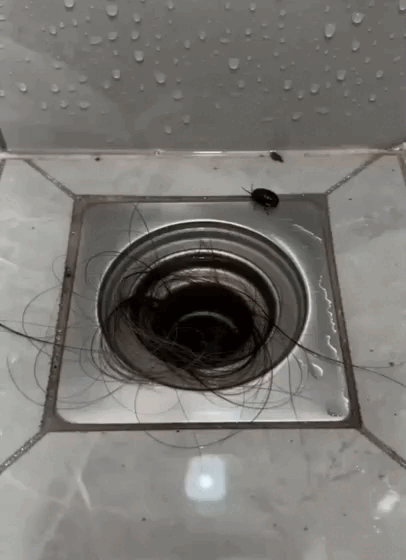 7.gif